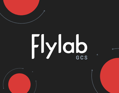Flylab – Custom Flight Interface 🔒
